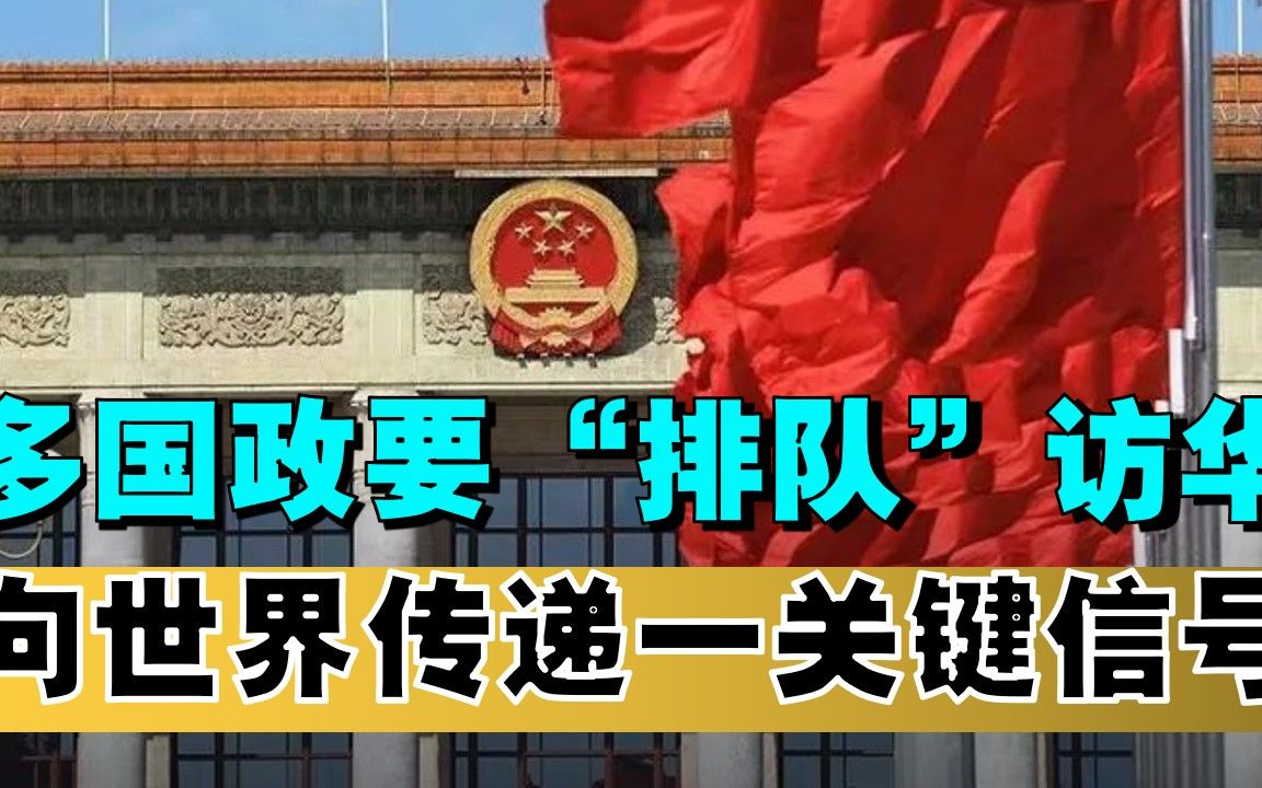 中俄会晤后,多国政要接踵访问中国,其实已经证明了一个重要问题哔哩哔哩bilibili