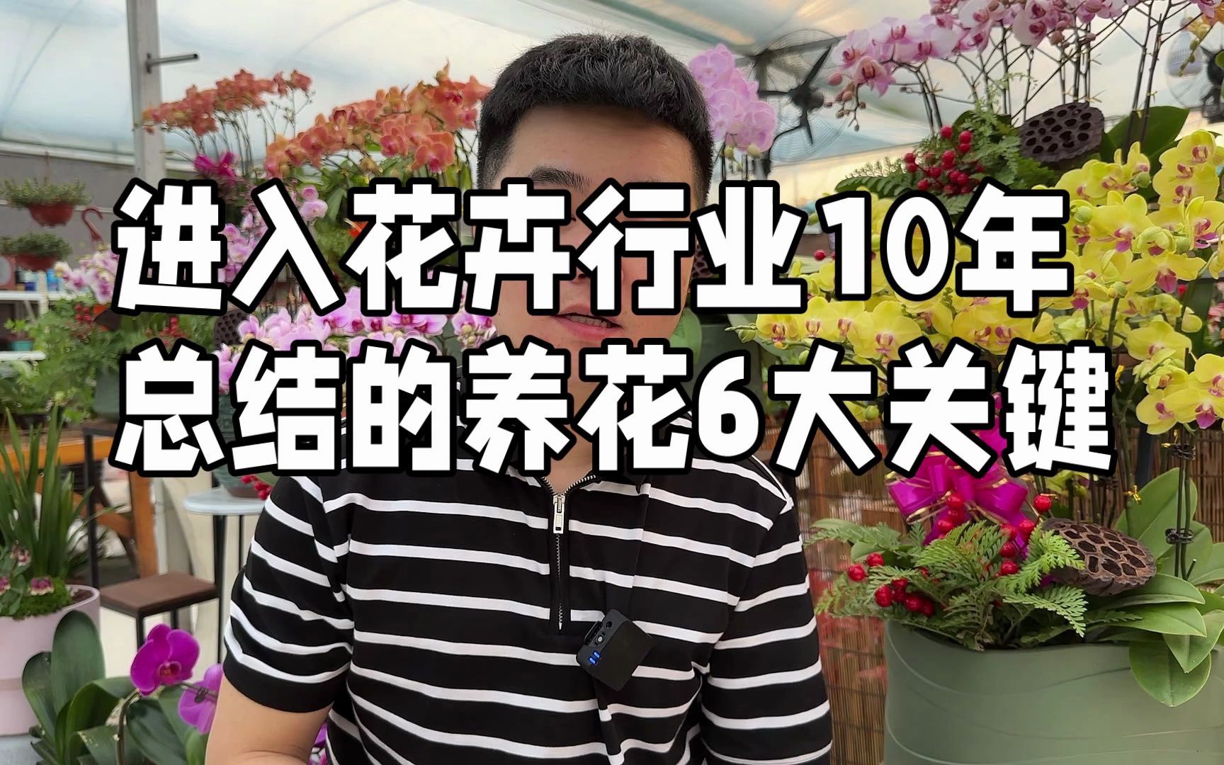 进入花卉行业10年 总结的养花6大关键哔哩哔哩bilibili