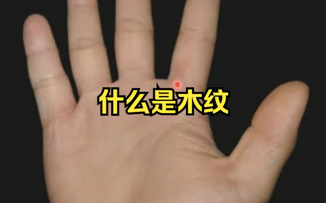 什么是木纹!哔哩哔哩bilibili