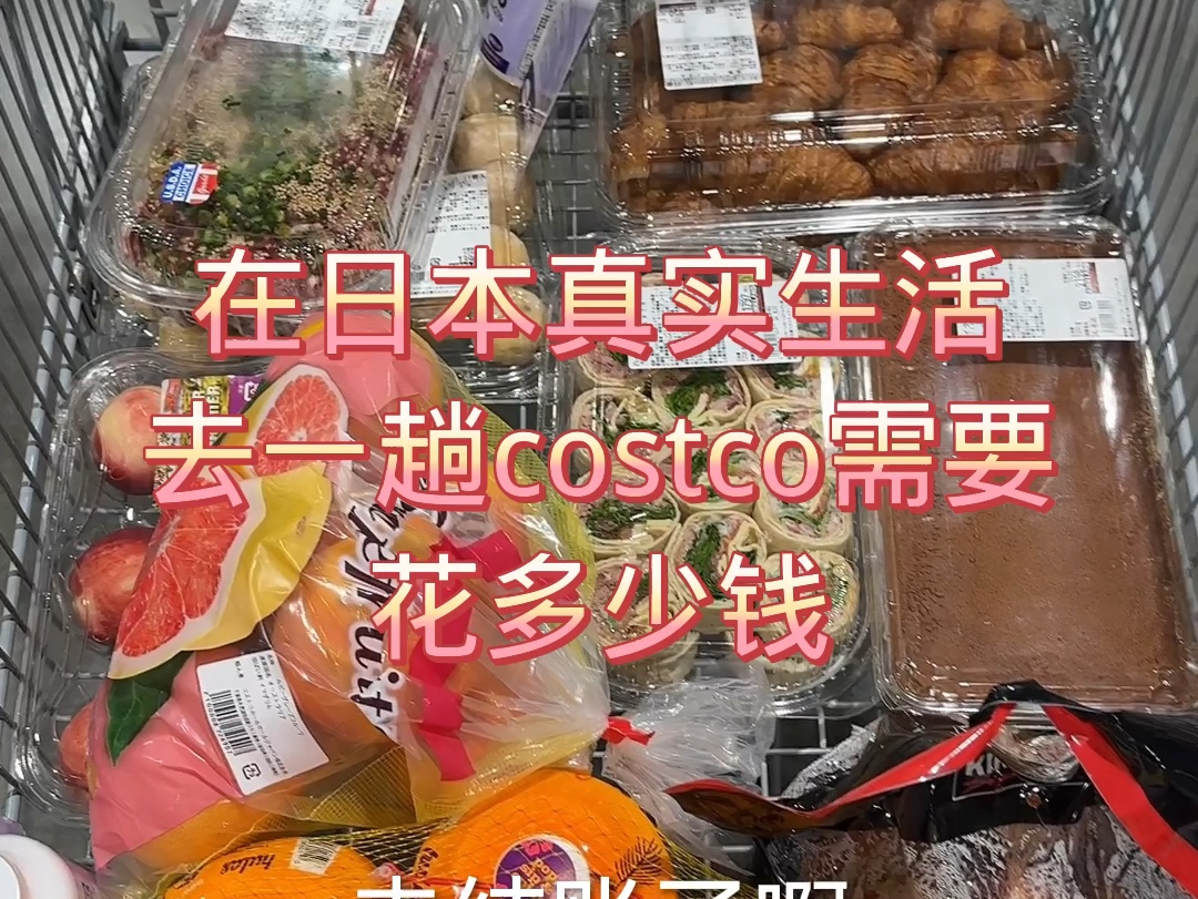 在日本真实生活去一趟costco需要花多少钱哔哩哔哩bilibili