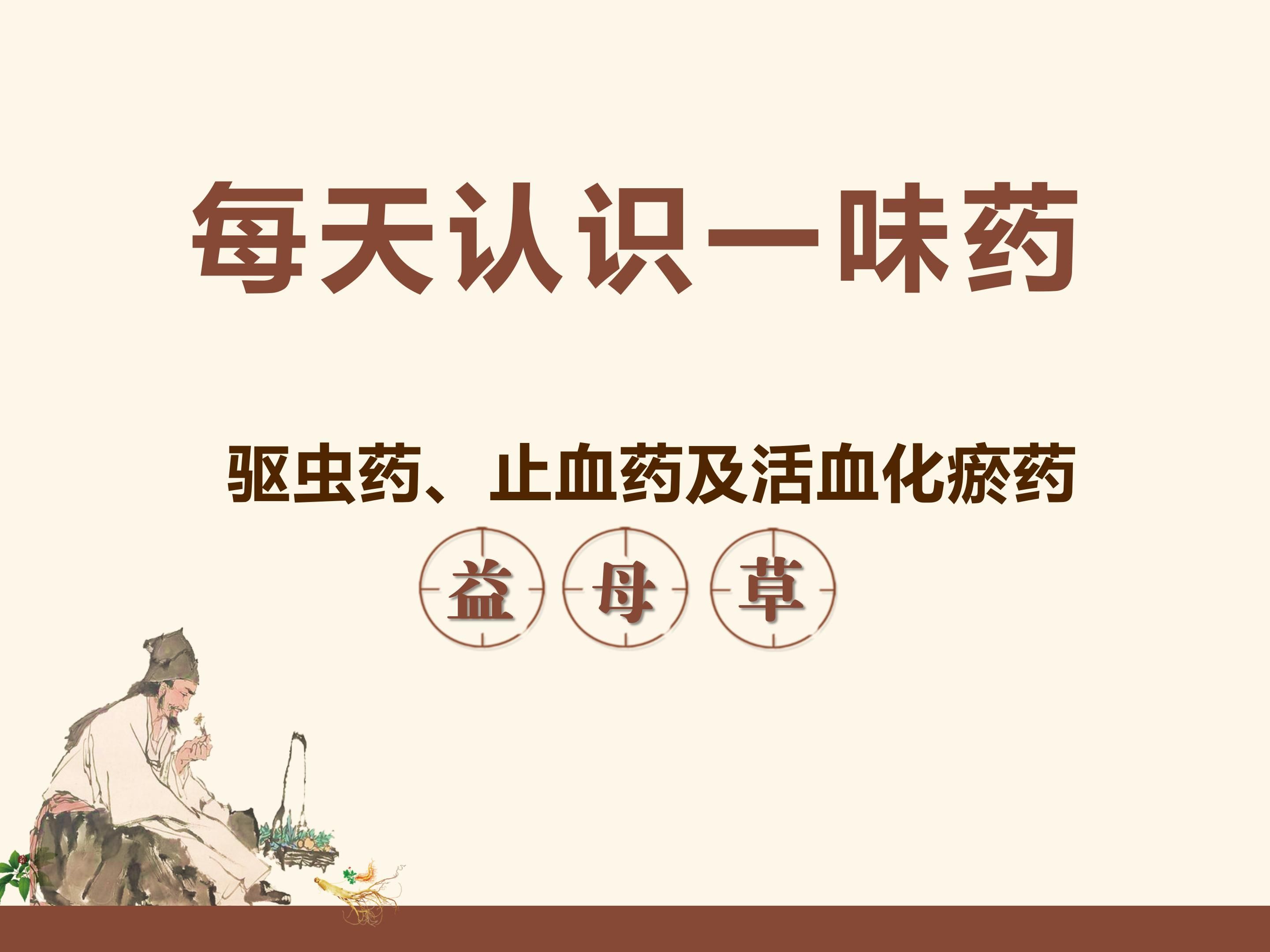 【中药全解析】益母草:活血调经,利水消肿,清热解毒的神奇功效!