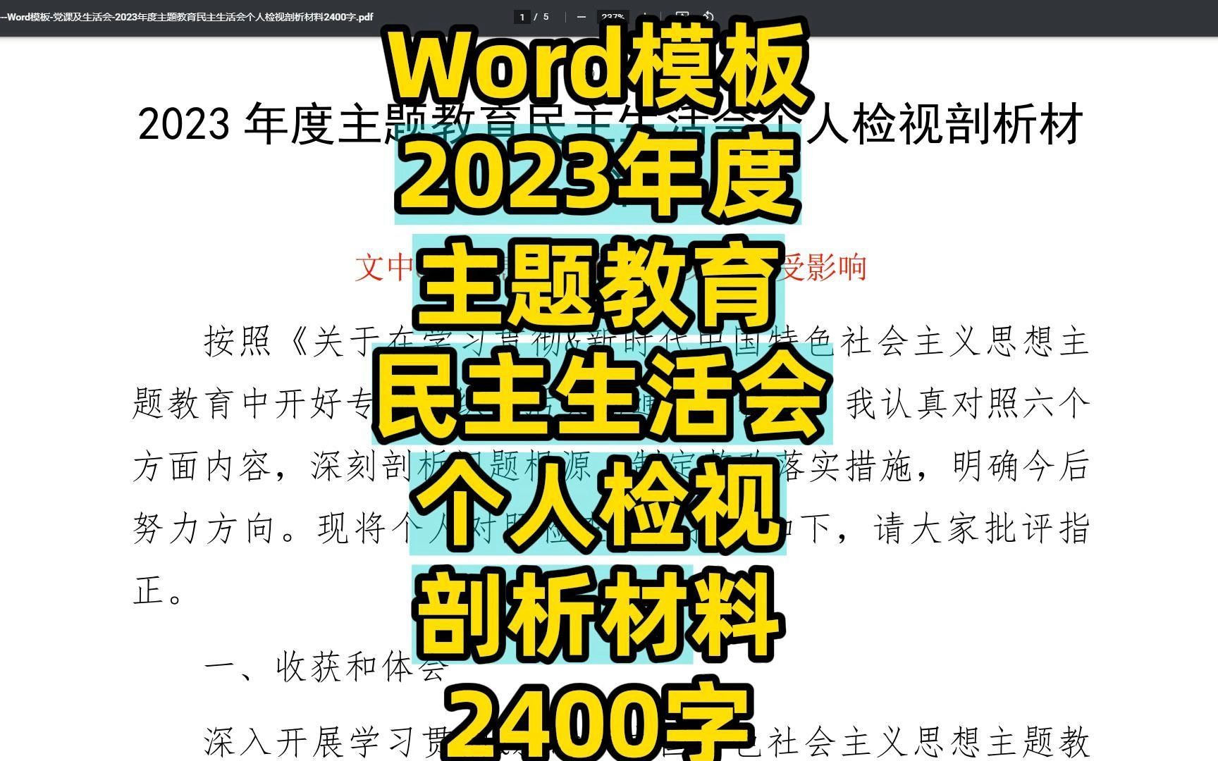 2023年度主题教育民主生活会个人检视剖析材料2400字,发言范文,Word文件哔哩哔哩bilibili