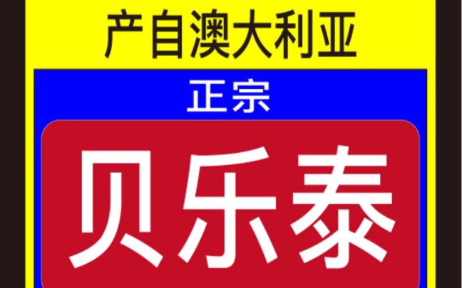 【非正式会谈】从小看到大,土到极致就是潮!哔哩哔哩bilibili