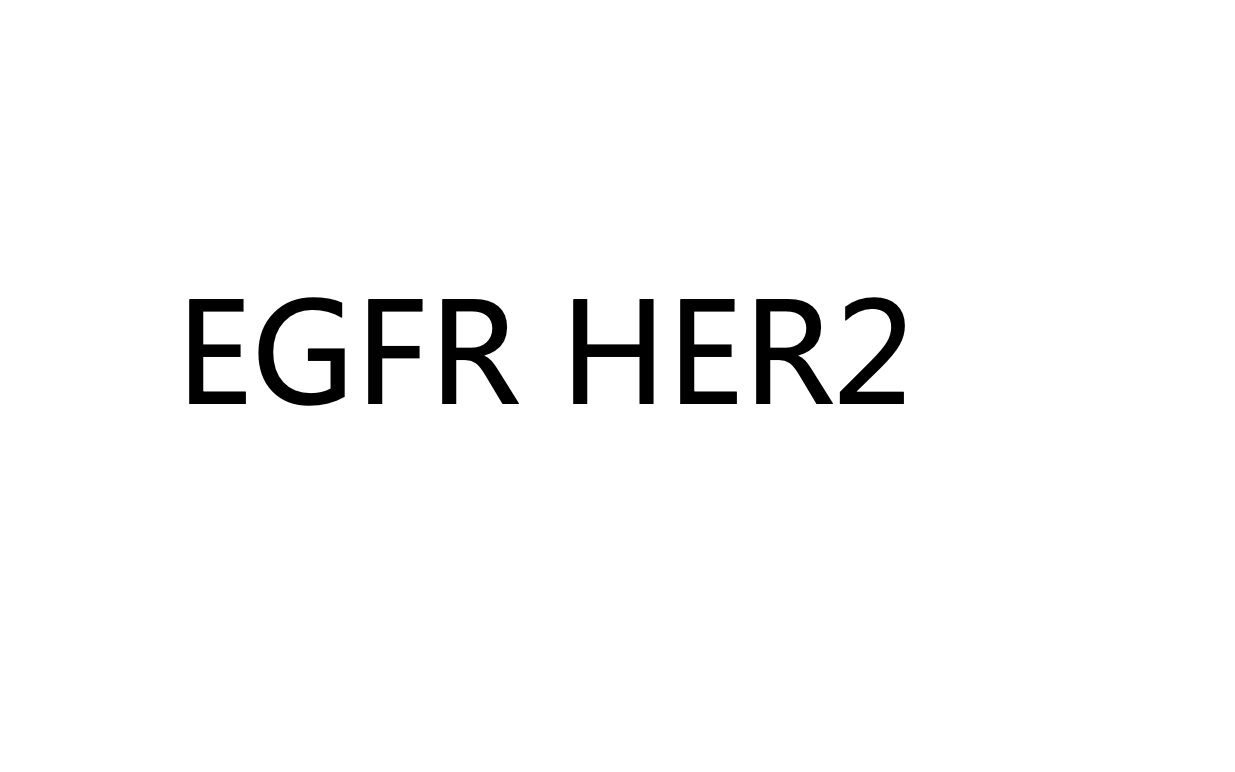 2、EGFR HER2哔哩哔哩bilibili