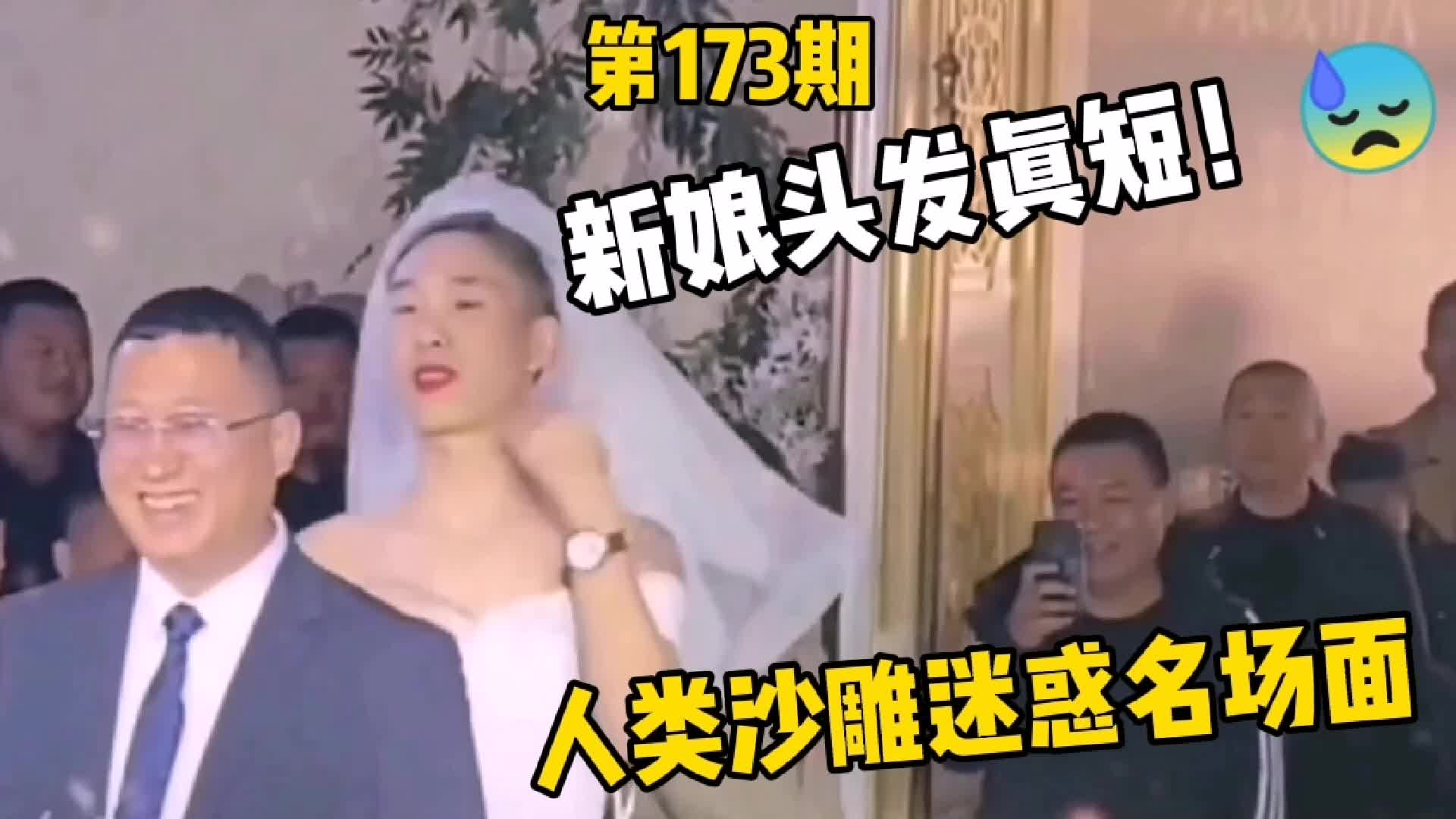 [图]新娘子谁看了都会吐！还要强吻我？人类沙雕迷惑搞笑场面第173期