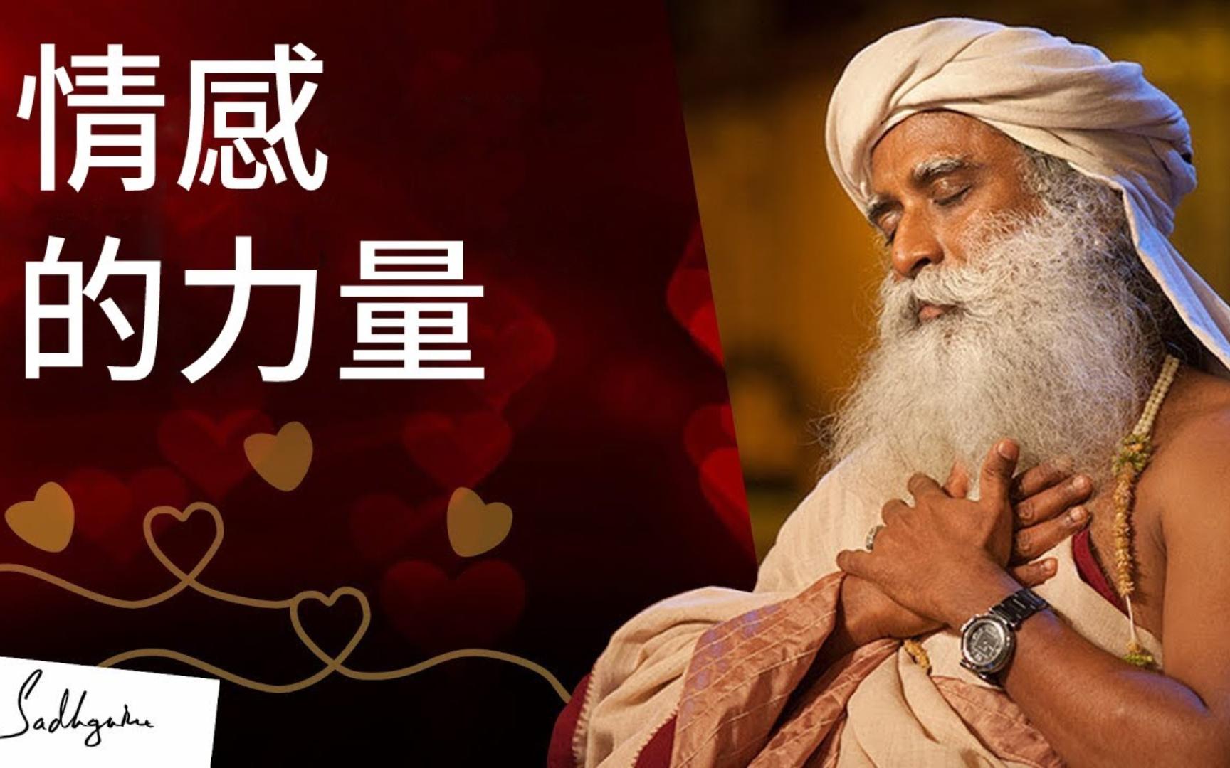 萨古鲁 | 情感的力量