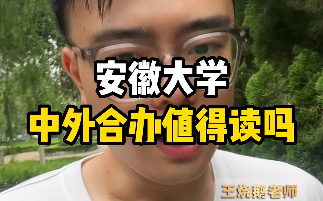 安徽大学中外合办值得读吗?哔哩哔哩bilibili