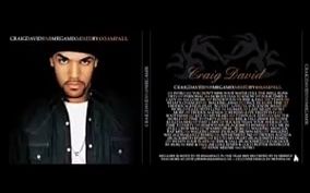 克雷格ⷮŠ大卫 英国歌手和词曲作者 Craig David Greatest Hits  Craig David Megamix哔哩哔哩bilibili