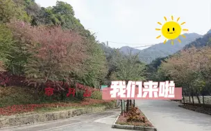 Download Video: 【眼睛想旅行】佛山三水南丹山森林公园游记