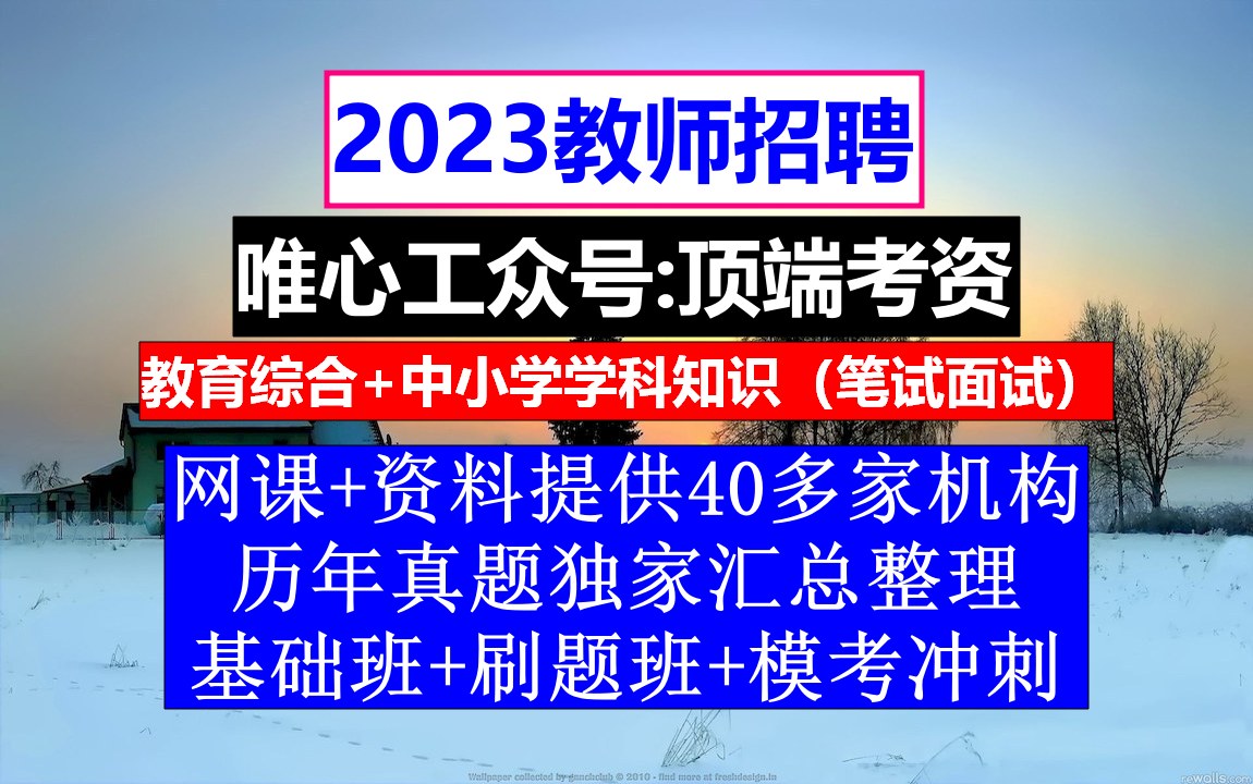 教师招聘,教师招考报名了不去考怎么办,小学英语教师求职简历模板范文哔哩哔哩bilibili