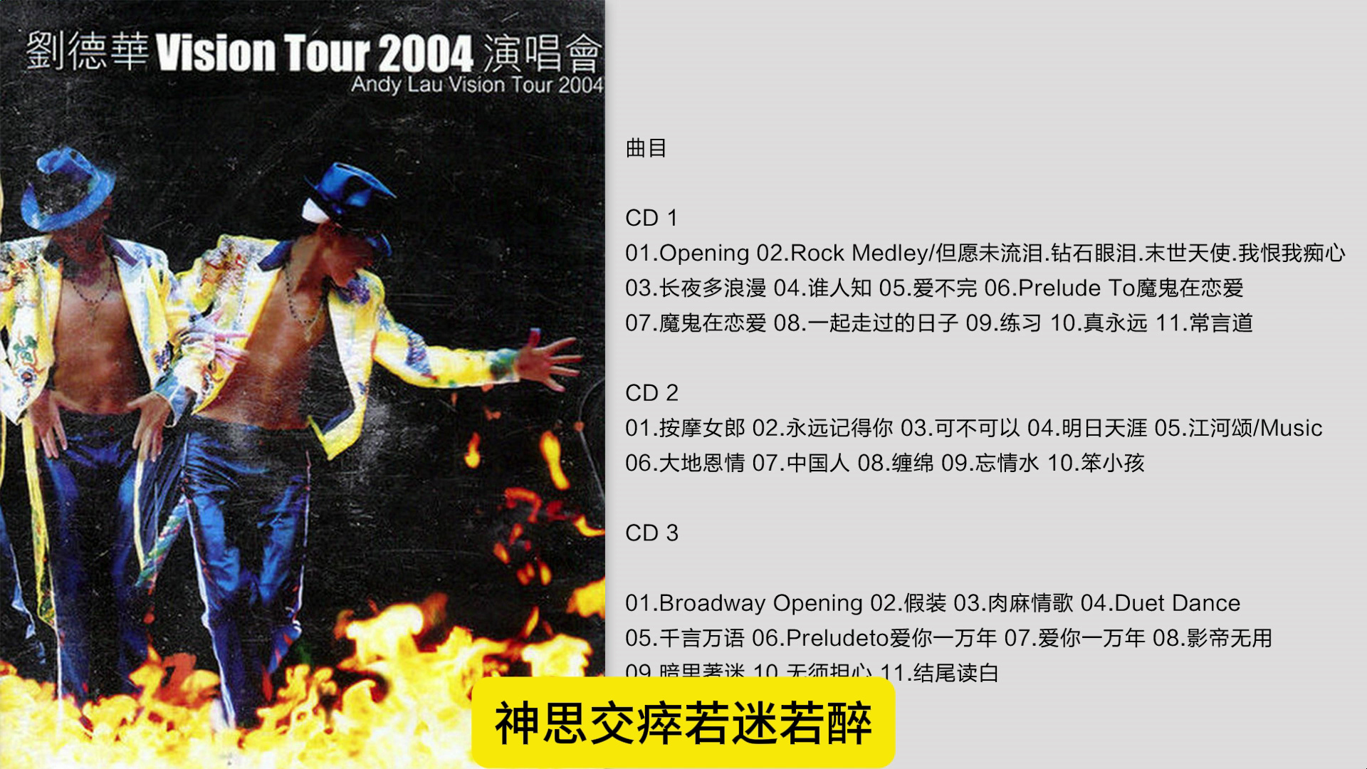 [图]刘德华- 《Vision Tour 2004 演唱会》3CD [FLAC+CUE]