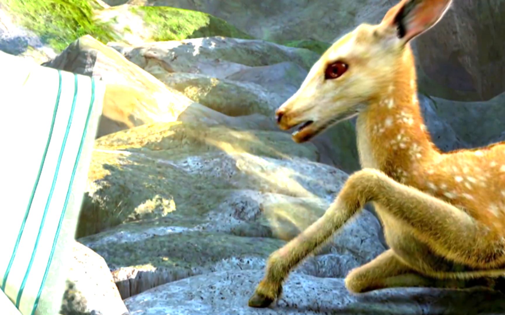 善有善报!小伙好心救下受伤小鹿,不料它竟是万兽之王四不像