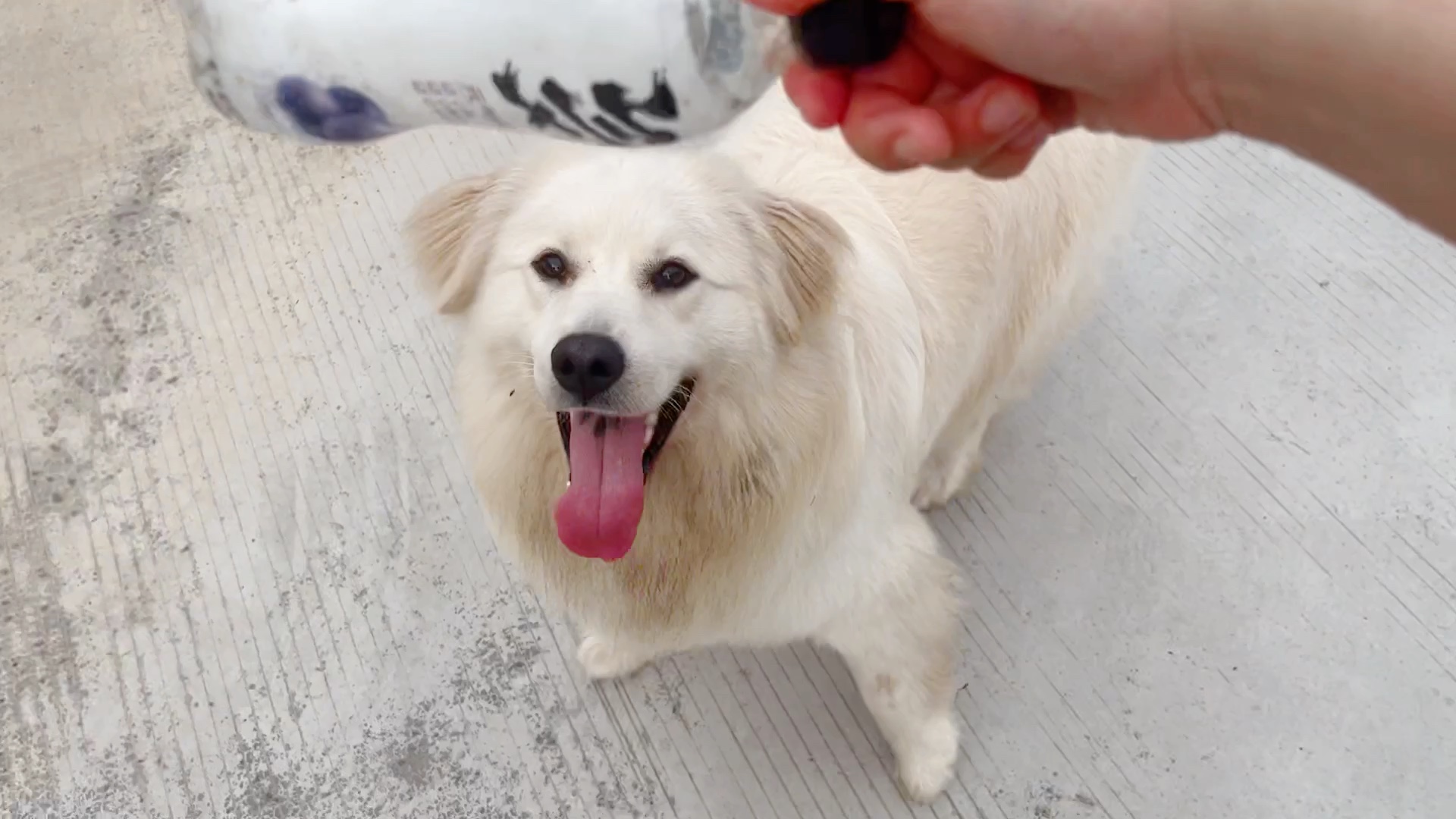 金萨论脏兮兮的修勾对于瓶子的热爱