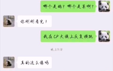 论他们俩长的多么相像[南北双一][蔡程昱 张超]一段奇奇怪怪的对话~哔哩哔哩bilibili