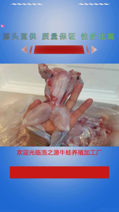 南充牛蛙肉批发渠道哔哩哔哩bilibili