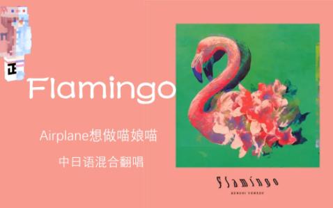 【air】 flamingo 中日双语翻唱捏!