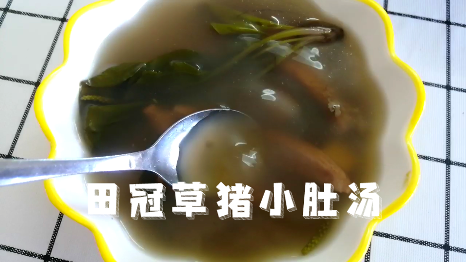 田冠草猪小肚汤,初夏去湿汤水,用赤小豆的靓汤,味更甘!