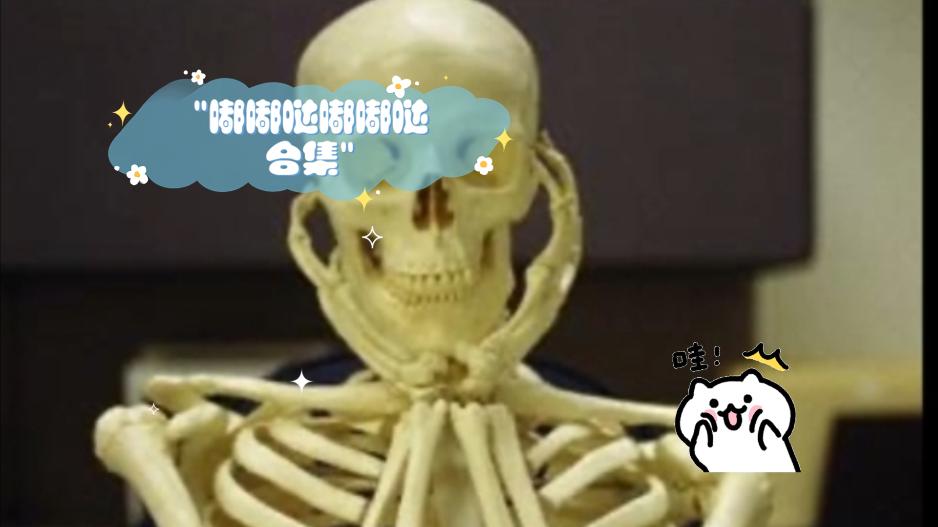 嘟嘟哒嘟嘟哒合集哔哩哔哩bilibili