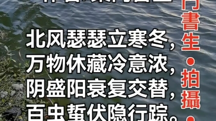 七绝ⷮŠ立冬作者/桑门书生北风瑟瑟立寒冬,万物休藏冷意浓,阴盛阳衰复交替,百虫蜇伏隐行踪.哔哩哔哩bilibili