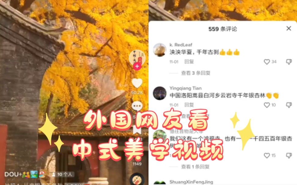 【TikTok】外国网友看中式美学视频哔哩哔哩bilibili