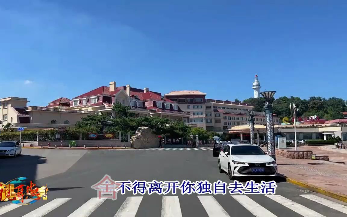 [图]安琪娜《一万次伤心一万次难过》 (DJ默涵剪辑版)