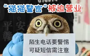 Download Video: 蹭吃蹭喝？猫头鹰警局混饭吃后被迫营业...网友：天下没有白吃的午餐