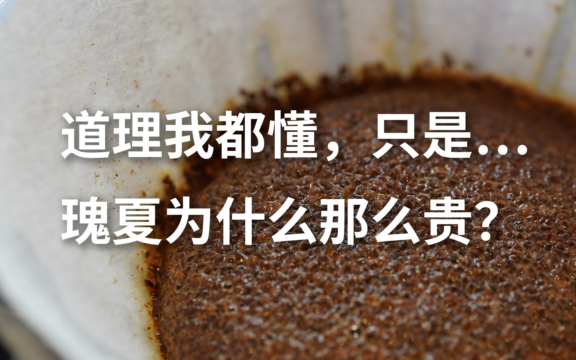 [图]教新手杯测，感受瑰夏与别的豆种的不同，感受瑰夏与瑰夏的不同