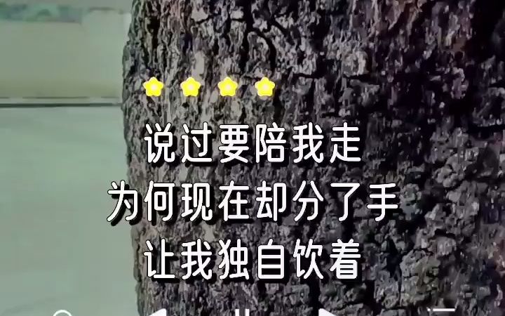 [图]爱情这杯酒到底是苦酒还是美酒，怕是只有尝过的人才知道吧