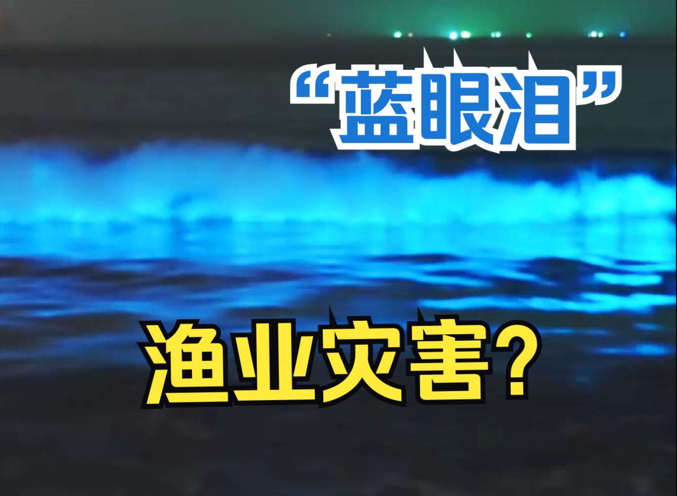 青岛限定版蓝色“荧光海”来了 浪漫“蓝眼泪”对渔业生产是灾害哔哩哔哩bilibili