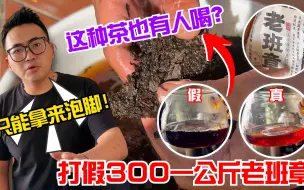 Download Video: 这种茶也有人喝？阿伟打假300一公斤老班章，直呼只能拿来泡脚！