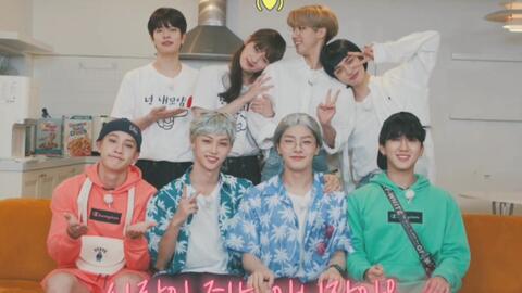 中字）夏日度假！ 【Stray Kids】 STAY 3rd Anniversary 210731_哔哩哔 