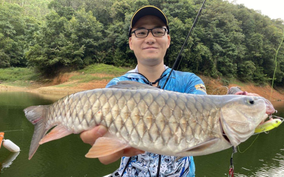 和濤哥激釣龍巖,再中光魚,看有多大?