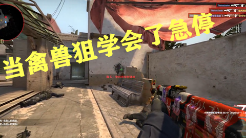 Csgo当禽兽狙学会了急停 疯狂爆头秀