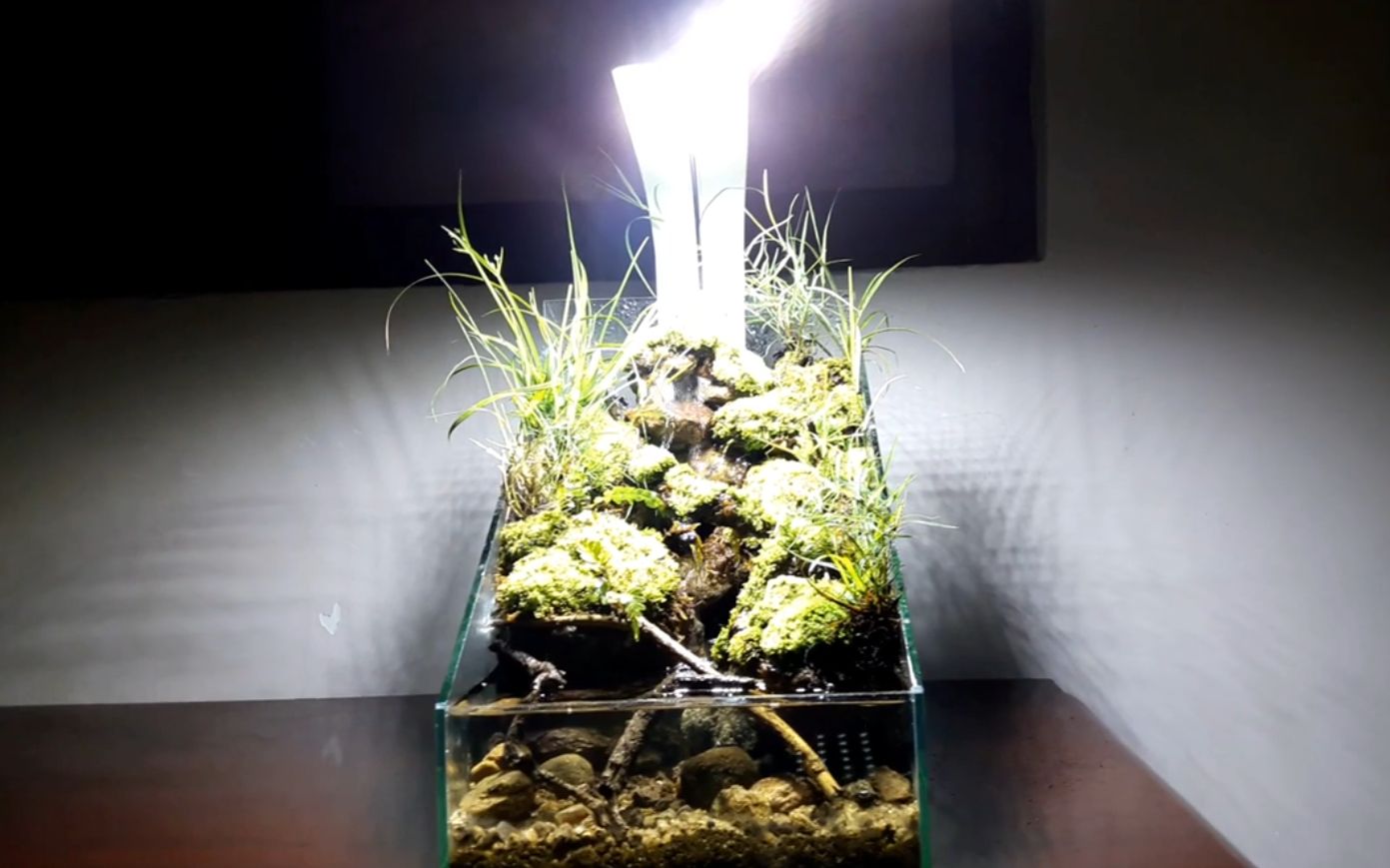 办公室迷你水陆缸