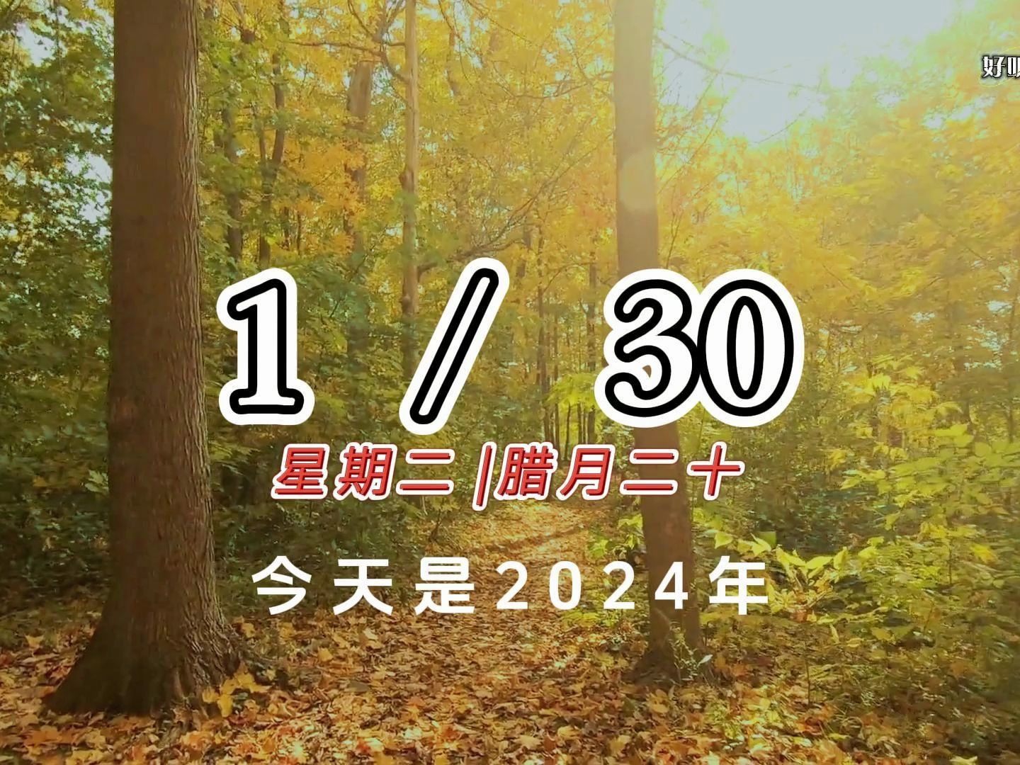 2024 年 1 月 30 日,星期二,早安!