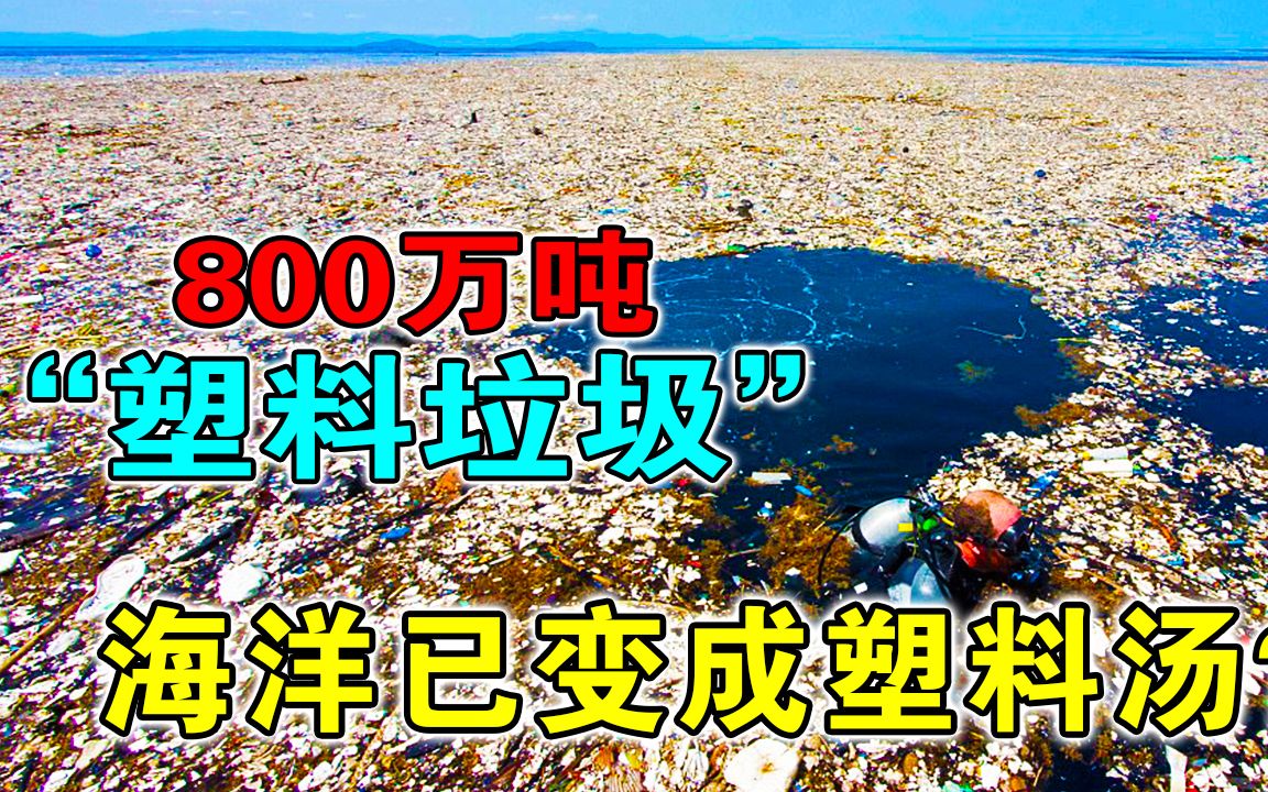 [图]海洋已变成塑料汤？每年800万吨垃圾流入海洋，后果有多可怕？