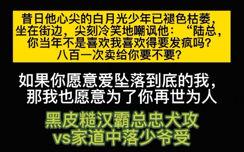 [图]纯爱推文《二手情书》作者：寒菽 忠犬攻vs落魄少爷受