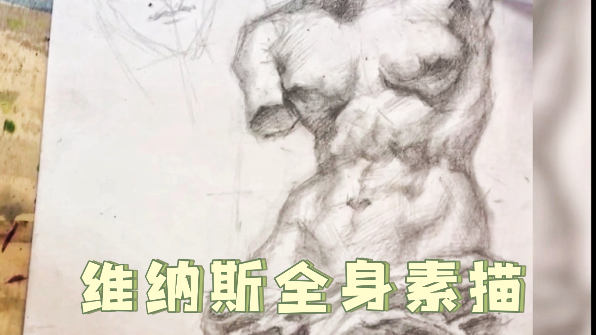 【素描石膏】啊!维纳斯~这迷人的腹肌与轮廓