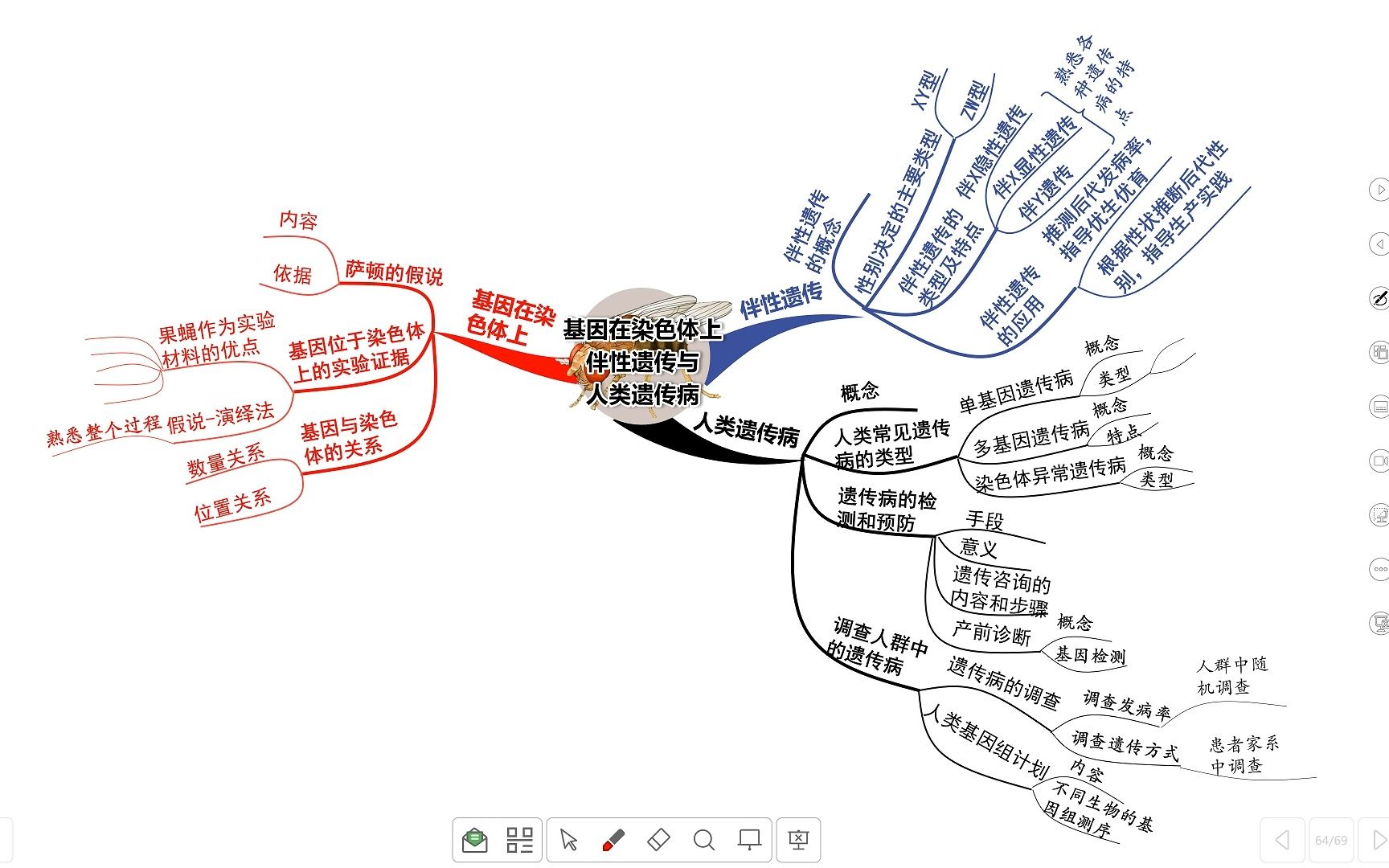 染色体畸变思维导图图片