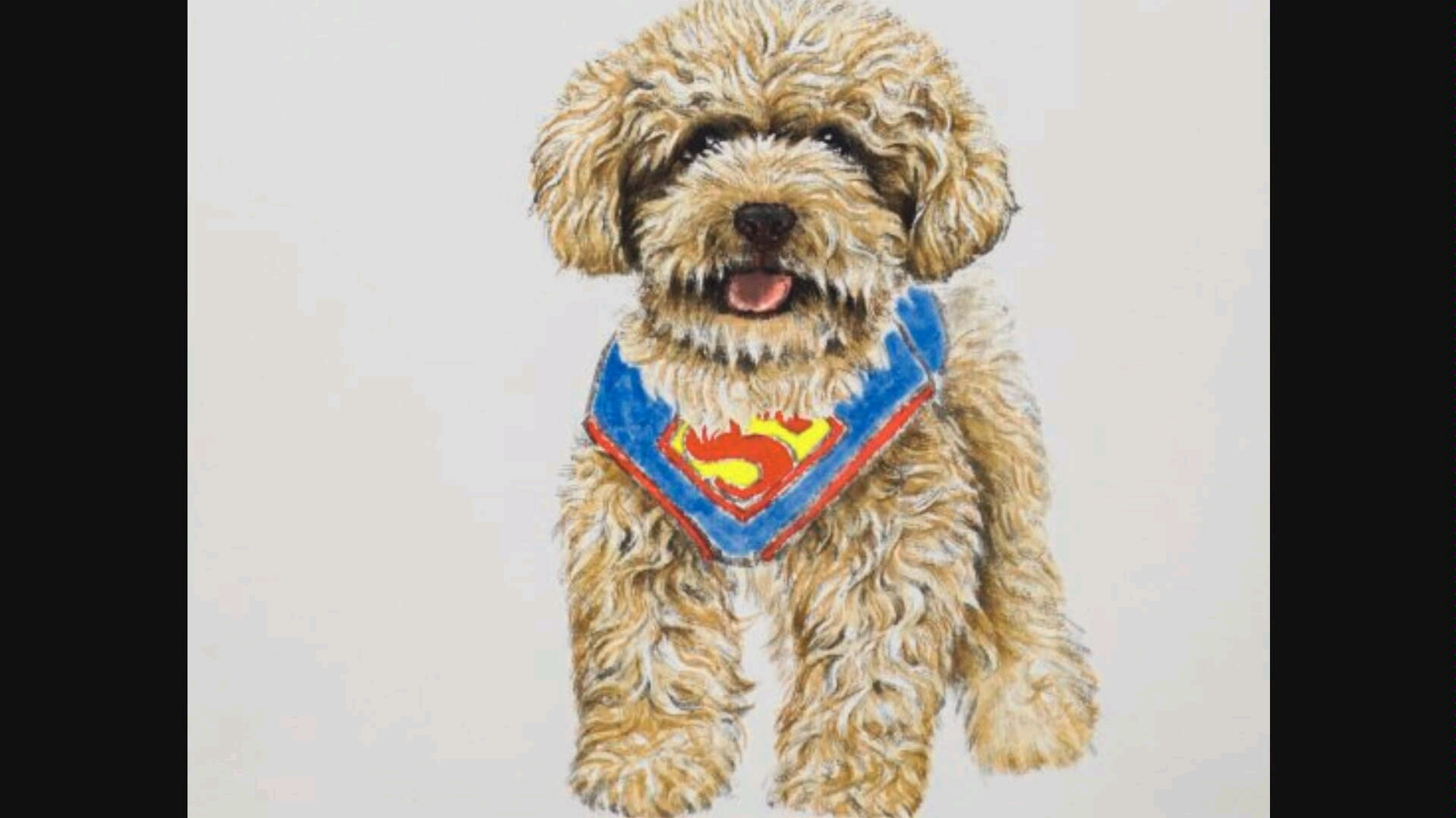 【国画动物】画一只泰迪超人_哔哩哔哩 (゜-゜)つロ 干杯~-bilibili