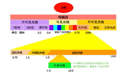 红外线加热灯波长哔哩哔哩bilibili