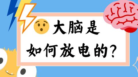 神经电生理入门 中 超详细纯干货的动作电位讲解 河豚毒和肉毒素的原理 多发性硬化症 哔哩哔哩