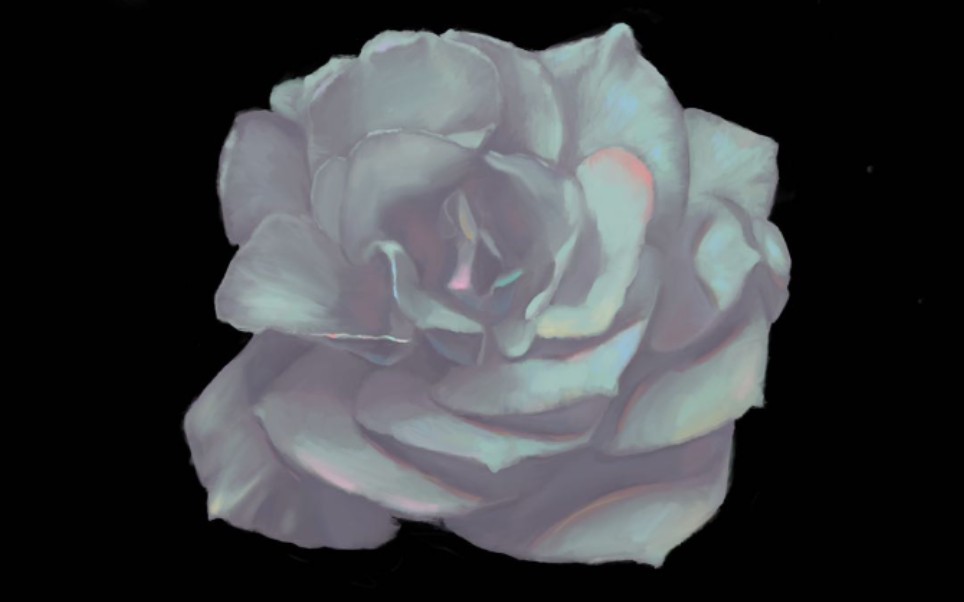 ipad pro 厚涂一个花