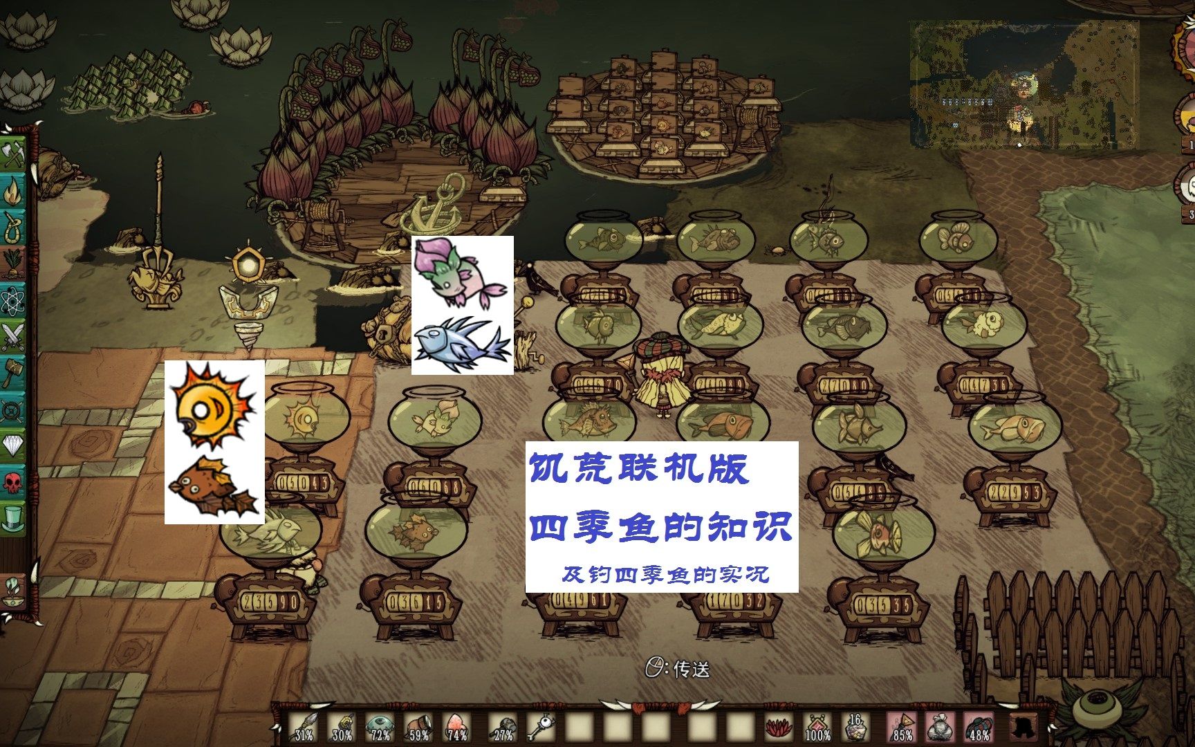 【饥荒联机版】四季鱼的知识,海钓季节鱼的实况