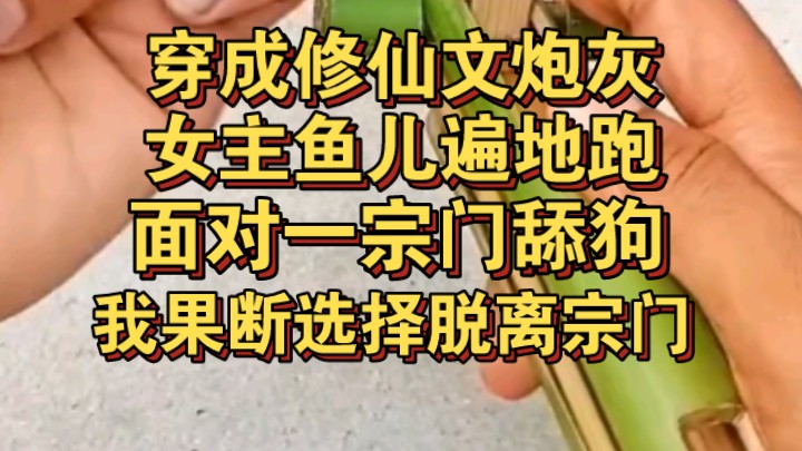 穿成修仙文炮灰女配,面对一宗门舔狗,女主鱼儿遍地,我果断脱离宗门哔哩哔哩bilibili