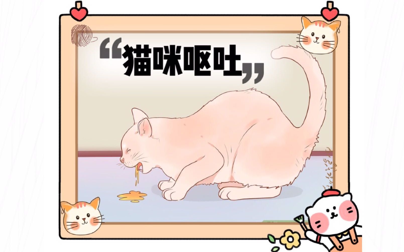 猫呕吐物大鉴别!吐了什么也能看出来得什么病?哔哩哔哩bilibili