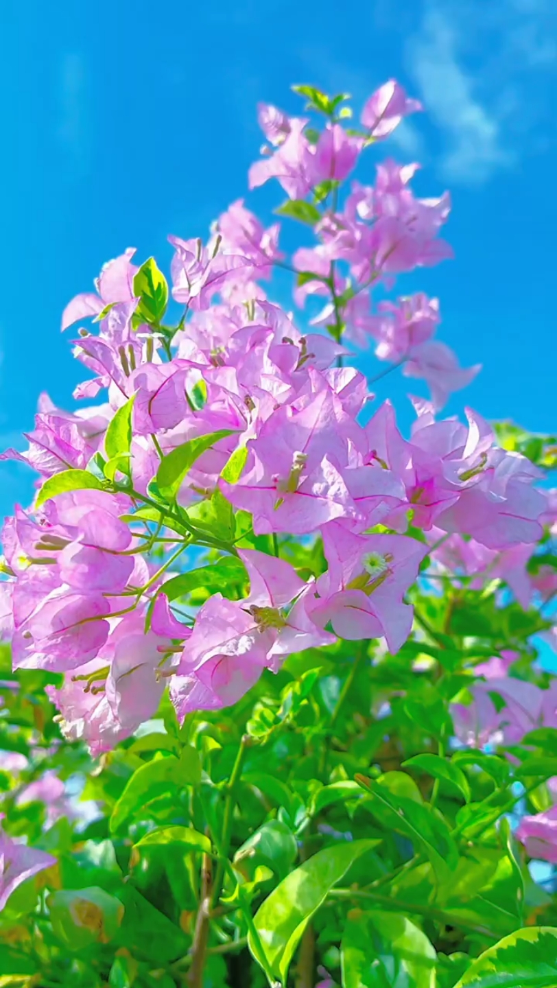 人到中年,可饮李白的酒,但要看开杜甫的愁;可以赏