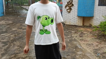 耗时114514秒 终于来到了广东茂名电白区目力小学