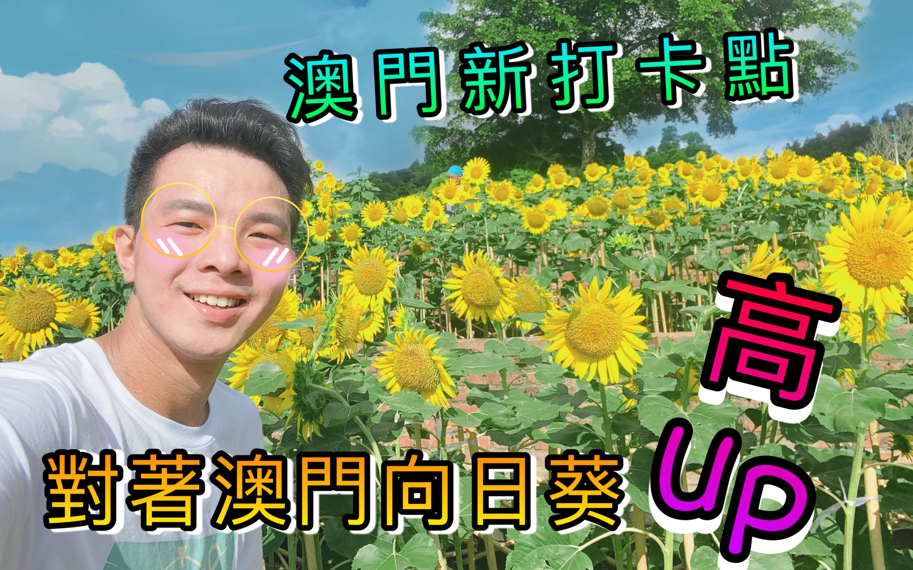 对着澳门向日葵“高Up” | 探索澳门新网红打卡点 | 澳门路环岛黑沙水库哔哩哔哩bilibili