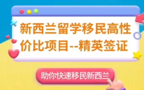 新西兰技术移民最重要的是雇主offer,新西兰留学移民高性价比项目精英签证,助你快速移民新西兰哔哩哔哩bilibili